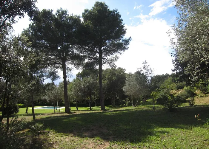 Apartman Pujadas *