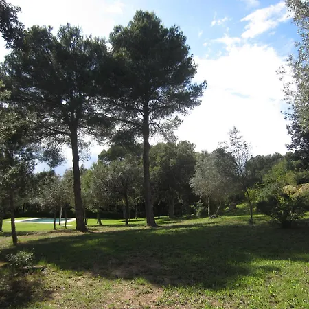 Apartment Pujadas *