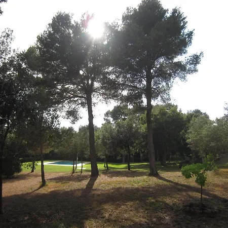 Apartment Pujadas Regencos