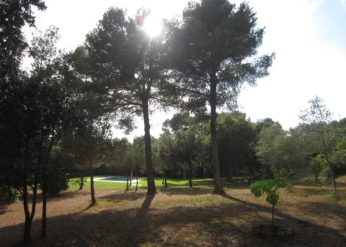 公寓 Pujadas Regencós